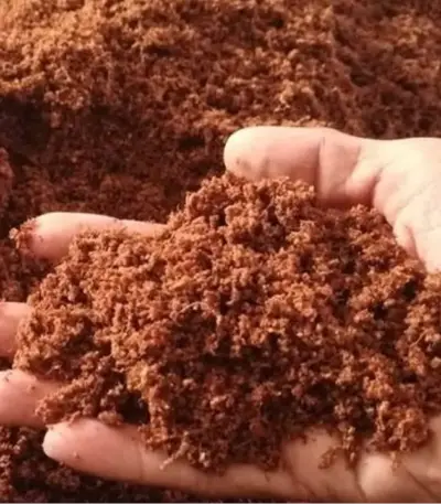 Coco peat