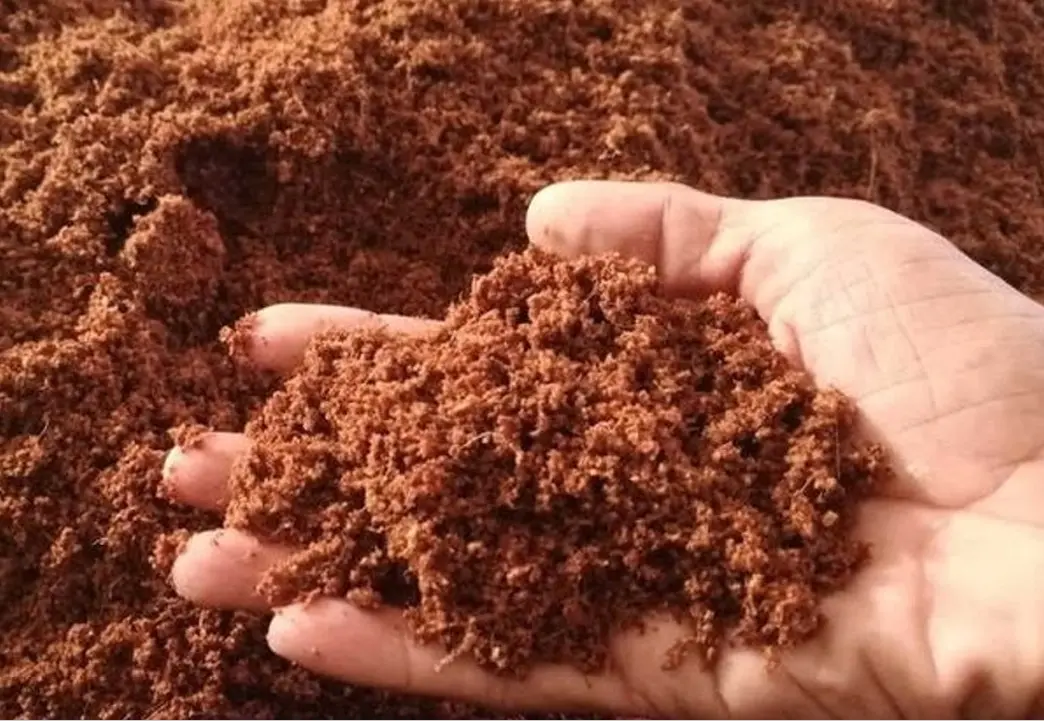 Coco peat Coco peat